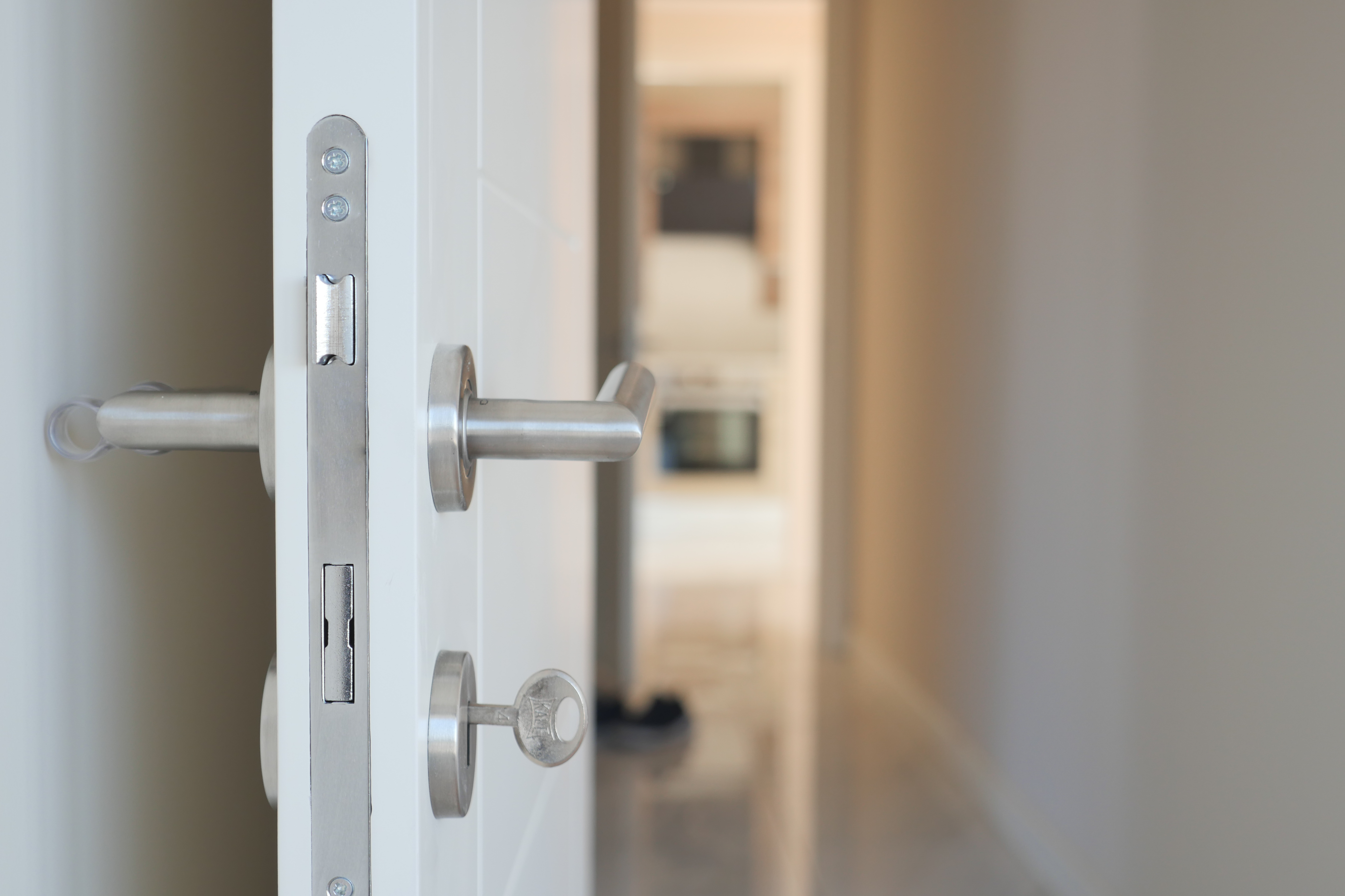 Puerta acorazada para empresa